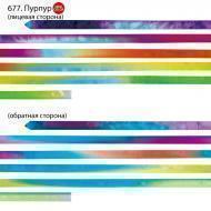 Лента для художественной гимнастики Инфинити (6 м) (двусторонняя) Сhacott