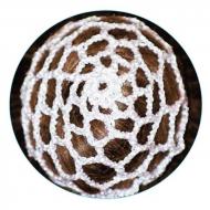 Сетка для волос Pastorelli Сhignon Bianco00783